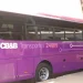 Transportadora investe mais de mil milhões na aquisição de novos autocarros para quadra festiva