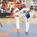 Taekwondo: Benfica do Lubango  conquista Taça “10 de Dezembro”