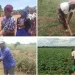 Mais de 20 feridos e quatro mortos nas estradas de Luanda