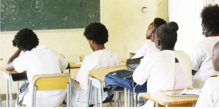 Angola e França reforçam parceria diplomática e económica