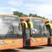 Quadra festiva com mais 100 novos autocarros nas rotas interprovinciais