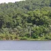 Governo dos EUA apoia projecto de desenvolvimento florestal
