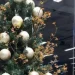 Jovem tenta roubar árvore de Natal pública no Cuanza-Sul