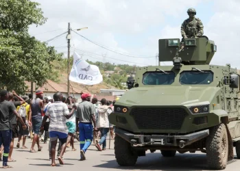 África do Sul e Moçambique melhoram mecanismos  de actuação na fronteira comum
