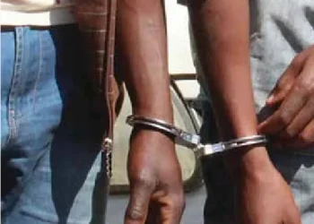 Carta do leitor:Cidadãos detidos por tentativa de crime