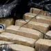 Colômbia apreendeu cerca de 848 toneladas de cocaína em 2024