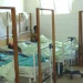 Cólera ultrapassa os mil casos