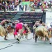 DANÇA: A arte angolana  que encantou o mundo  em decadência