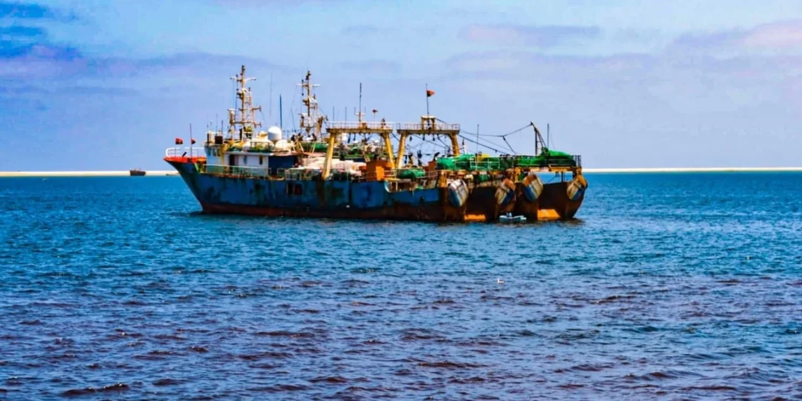 Governo do Namibe proíbe consumo do pescado por aparecimento de peixe morto na baía do Tômbwa