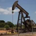 ANPG recebe nove propostas para operações nos blocos da Bacia Terrestre do Kwanza