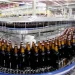Selos fiscais aumentam arrecadação do sector das bebidas alcoólicas em 30% em seis meses