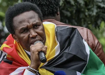 Venâncio Mondlane pede paralisação e manifestações  em Moçambique nas posses de deputados e PR