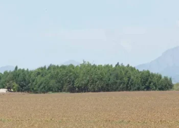 PLANAGRÃO regista primeiros resultados no Lóvua