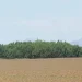 PLANAGRÃO regista primeiros resultados no Lóvua