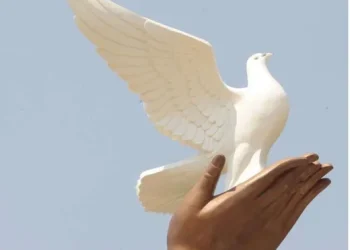 Carta do leitor:Preservar a paz…