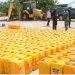 Mais de 400 pessoas detidas por tráfico ilegal de combustível em Cabinda
