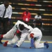 Jiu-jitsu brasileiro ganha vice-presidência na Federação