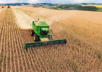Lôvua produz mais de 700 toneladas de soja