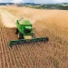 Lôvua produz mais de 700 toneladas de soja