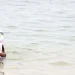 Em três anos: Perto de duas  mil pessoas  morreram  nas praias  do país