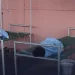 144 casos de cólera registados nas últimas 24 horas em quatro províncias 