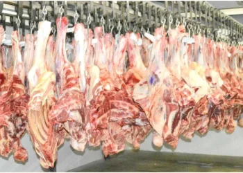 Huíla produz 900 toneladas de carne bovina em um ano