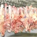 Huíla produz 900 toneladas de carne bovina em um ano