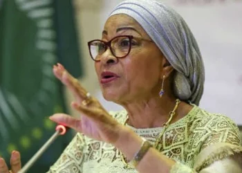 Continuam sem explorar recursos  animais no continente – Josefa Sacko