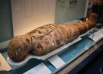 Múmias do Antigo Egipto têm um cheiro  “picante” e “doce”, revela estudo