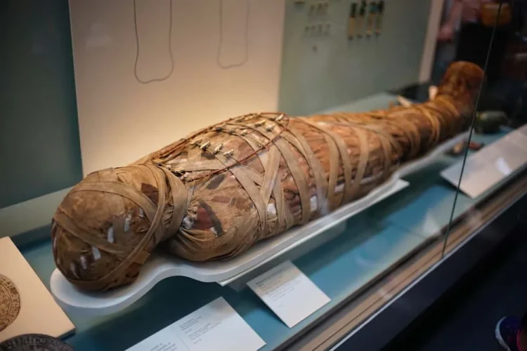 Múmias do Antigo Egipto têm um cheiro “picante” e “doce”, revela estudo