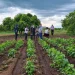 Inclusão produtiva fortalece cooperativas na Capunda Cavilongo