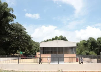Cuanza-Norte ganha hoje centro de produção de mudas de café