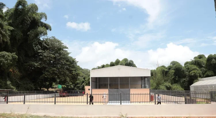 Cuanza-Norte ganha hoje centro de produção de mudas de café