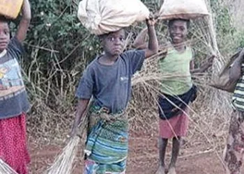 Crianças no município do Tômbwa abandonam escolas para se dedicar à pesca e a agricultura
