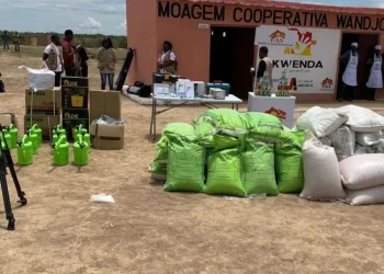 Camponeses da Huíla  podem aumentar níveis  de produção com  auxílio do Kwenda