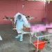 Cuanza-Norte regista quatro mortes por cólera
