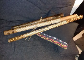 Projecto ‘Dikanza no Feminino’ instrui mulheres a dominarem  instrumentos musicais tradicionais