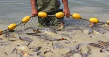 Governo investe mais de USD 900 milhões na revitalização da aquicultura em cinco províncias