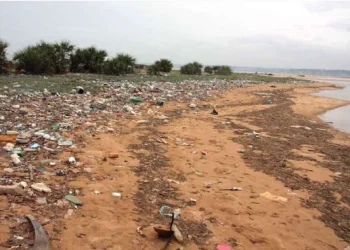 Administração do Mussulo culpa desentupidores de fossas de atentado à saúde