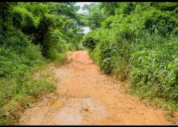 Estrada que liga Ndalatando ao Luinha vai ser intervencionada nos próximos dias