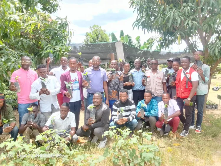 Município da Ganda prevê colher até Maio mais de 30 toneladas de café-arábica