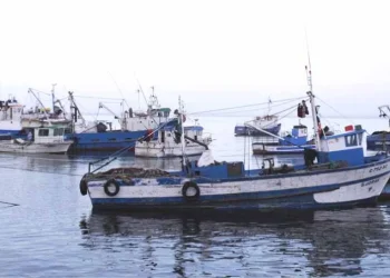 Cerca de oito mil barcos artesanais operam de forma ilegal