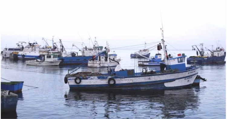 Cerca de oito mil barcos artesanais operam de forma ilegal