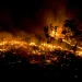 Maior incêndio florestal em 30 anos consome mais de 2000 hectares de terra no Japão
