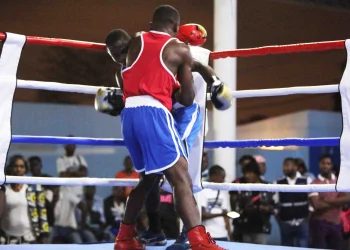 Gala Internacional de Boxe Profissional será apresentada amanhã