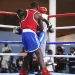 Falta de visto pode retirar atleta da RDC da primeira edição da Gala Internacional de Boxe