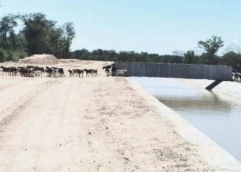 Pecuarista quer Cafú replicado para  colmatar défice de água em período de seca