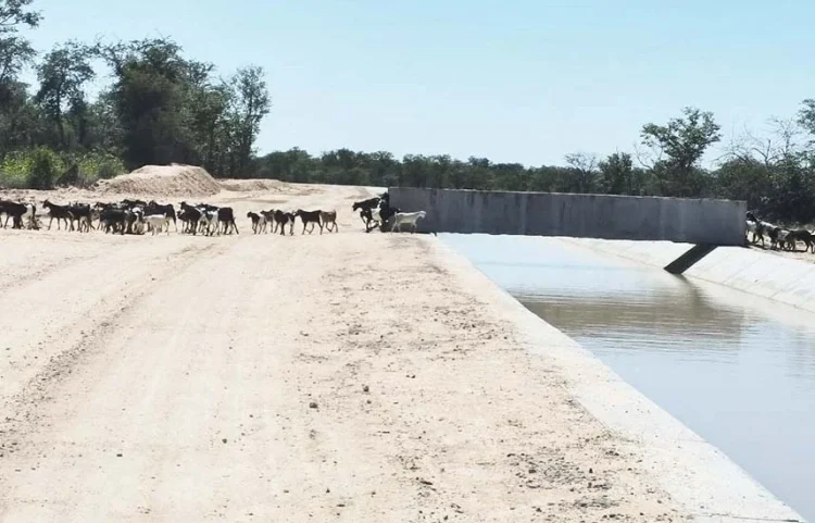 Pecuarista quer Cafú replicado para  colmatar défice de água em período de seca