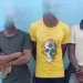 Jovens matam à paulada cidadão apanhado a roubar cabrito