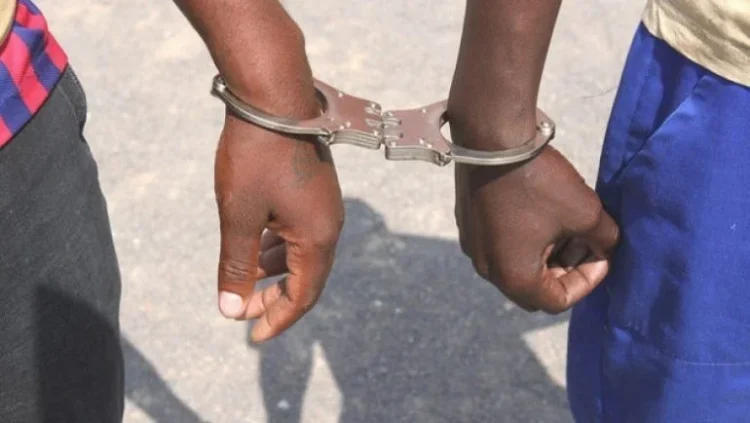 SIC detém dois cidadãos em posse de armas de fogo em Menongue